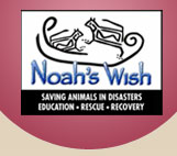 Noah Org Banner